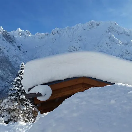 Alpensonne *